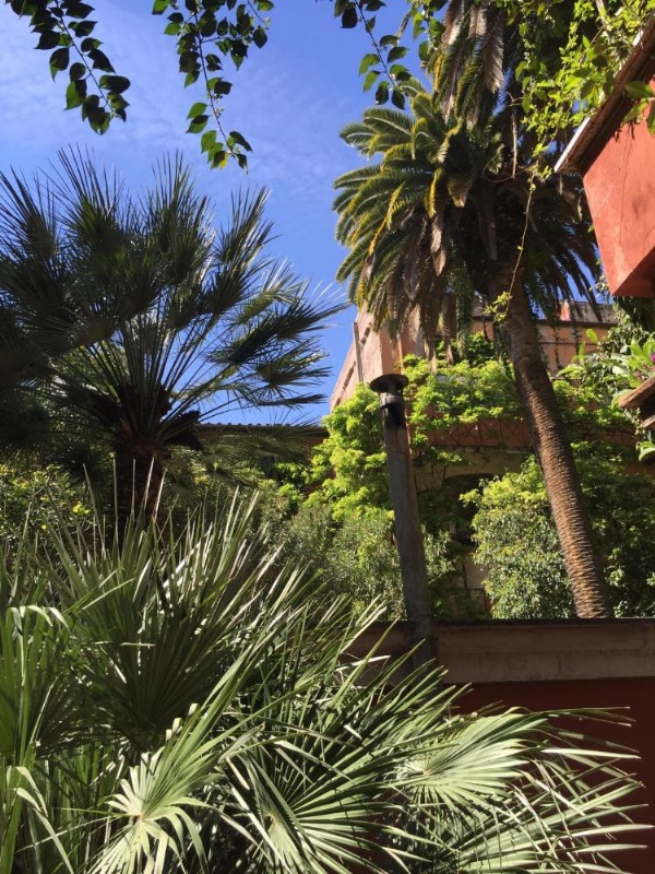 Margutta's Garden image 17