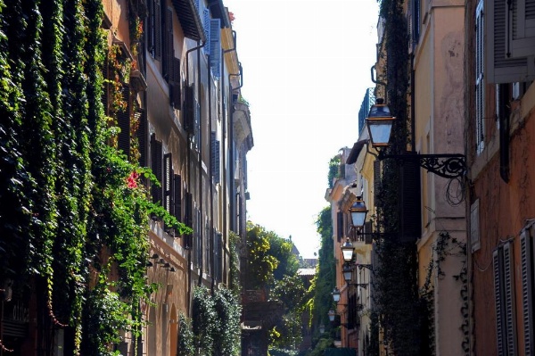 Margutta's Garden image 19