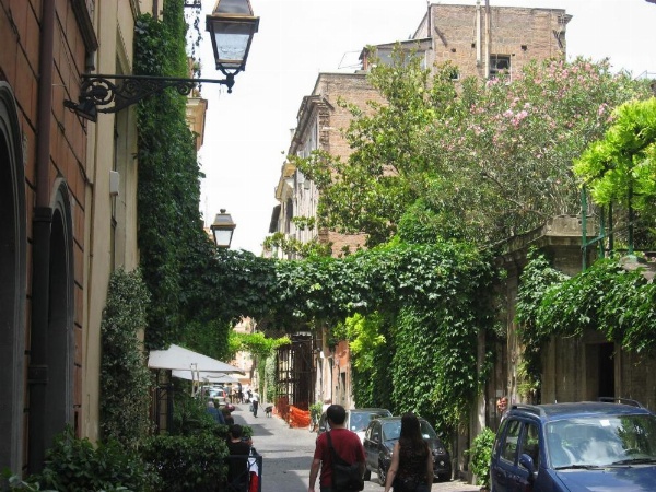 Margutta's Garden image 20